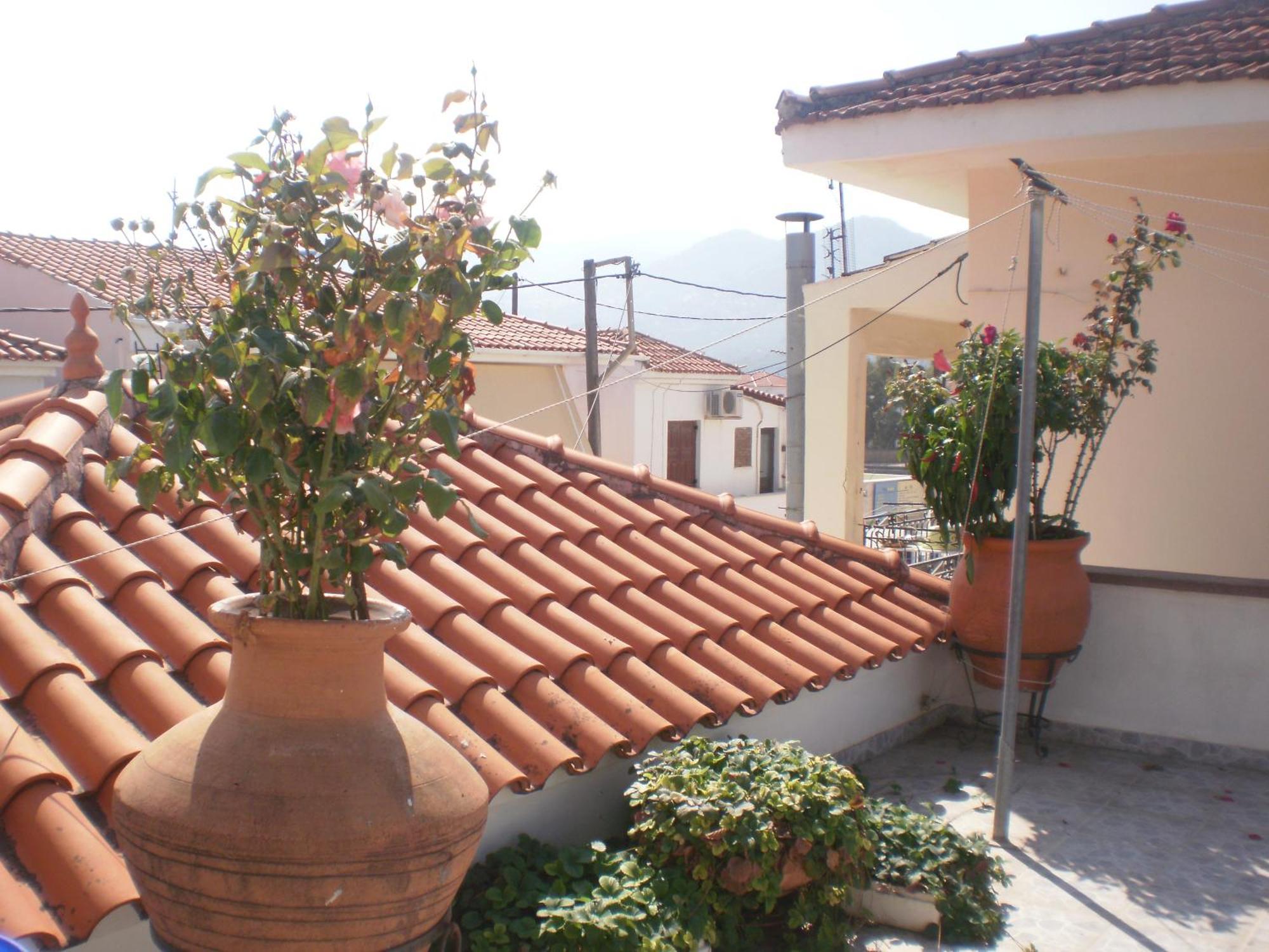 Apartamento Dimitra Petra  Exterior foto